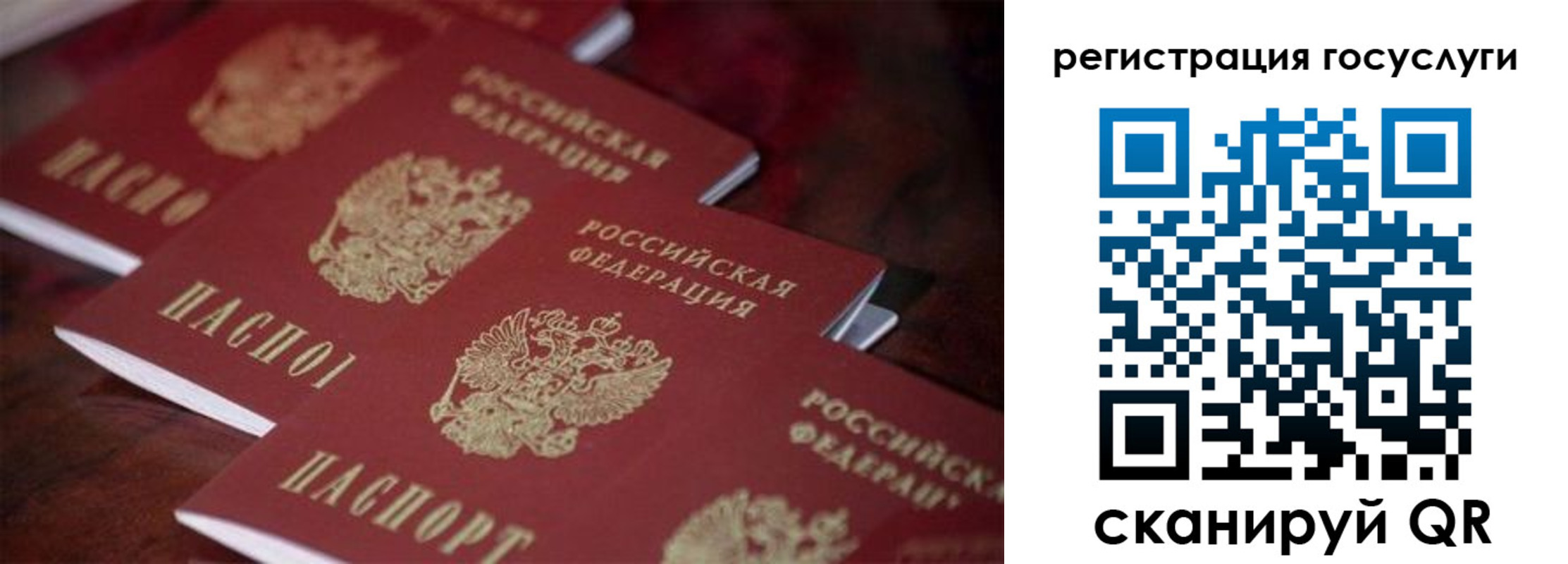 где прописаться в Сальске